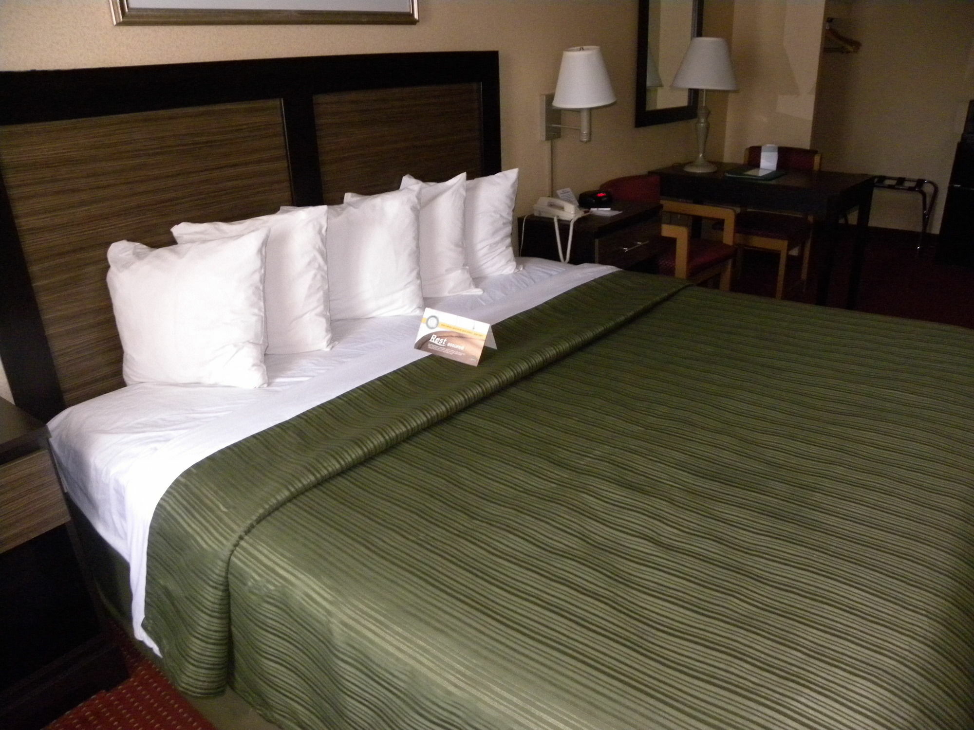 Quality Inn Mount Vernon Alexandria Exterior foto